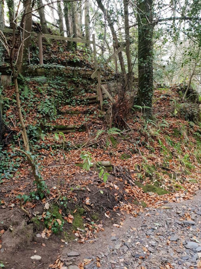 The Millers Cottage Okehampton Kültér fotó